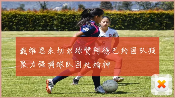 戴维恩米切尔称赞阿德巴约团队凝聚力强调球队团结精神