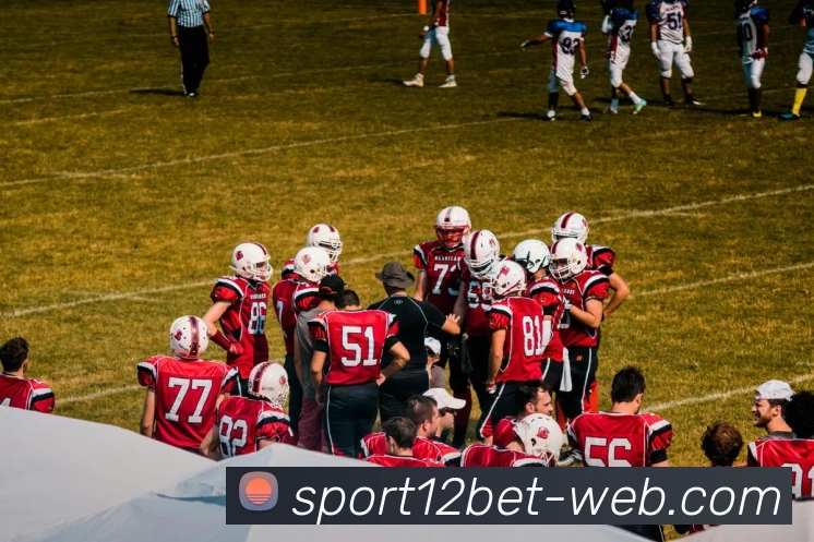 12bet平台生态图